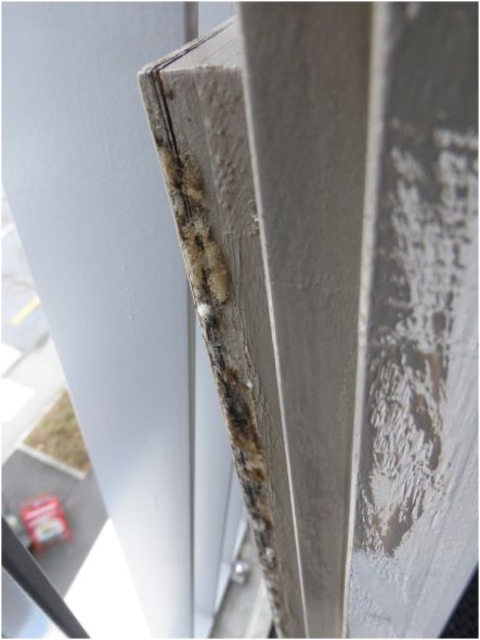 Sachverst&auml;ndiger T&uuml;ren: Schadenfall