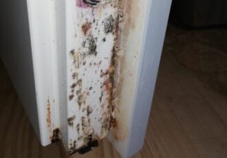 Expertise T&uuml;ren Schadenfall